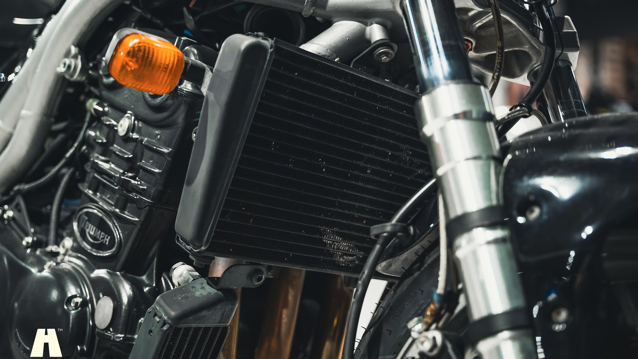 2001 Triumph Speed Triple (4), Mekanik