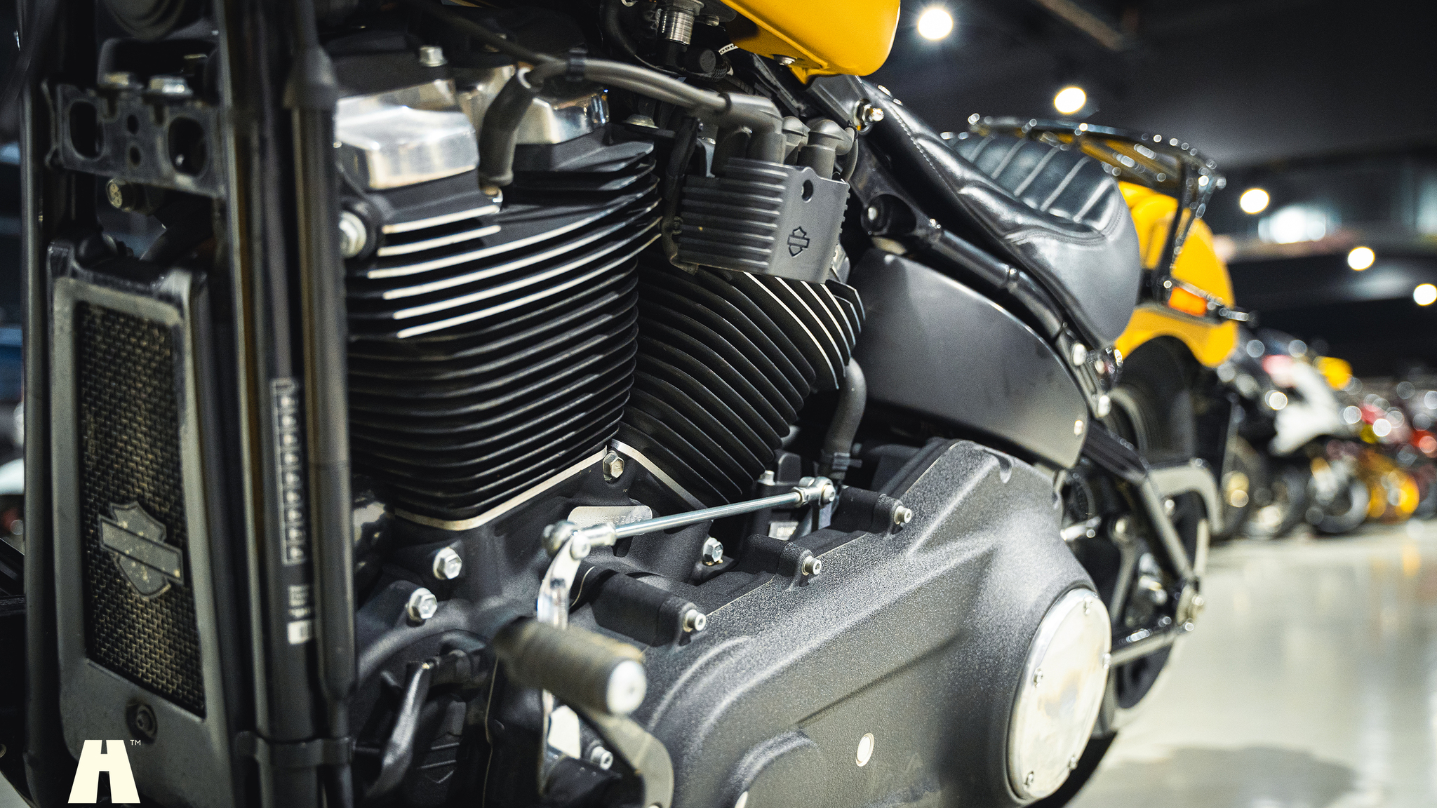 Image of 2019 Harley-Davidson Street BOB mechanics