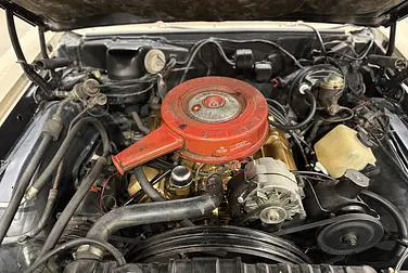 #<Image:0x00007fb770503848>