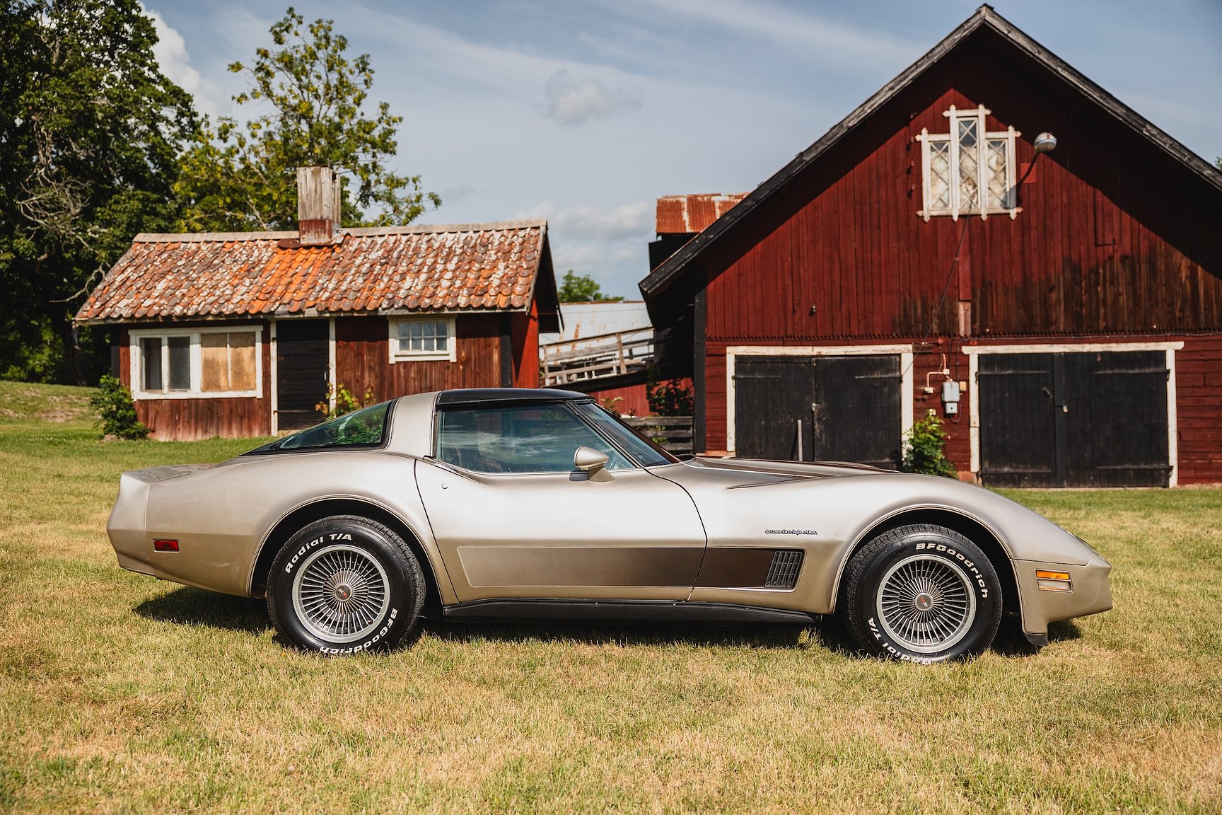 Exterior image of 1982 Chevrolet Corvette Collector Edition