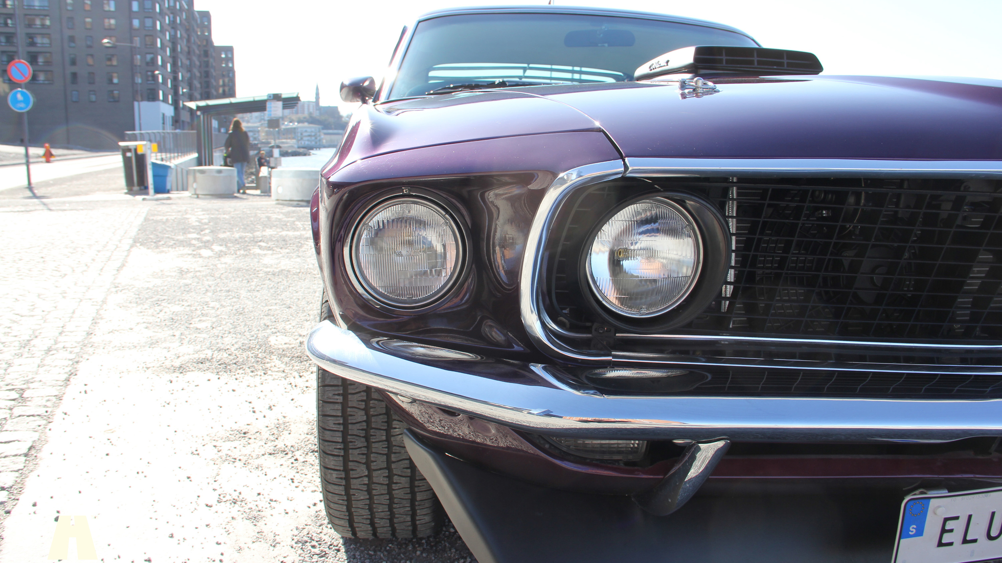 Aussenfoto 1969 Ford Mustang Mach 1 (35)