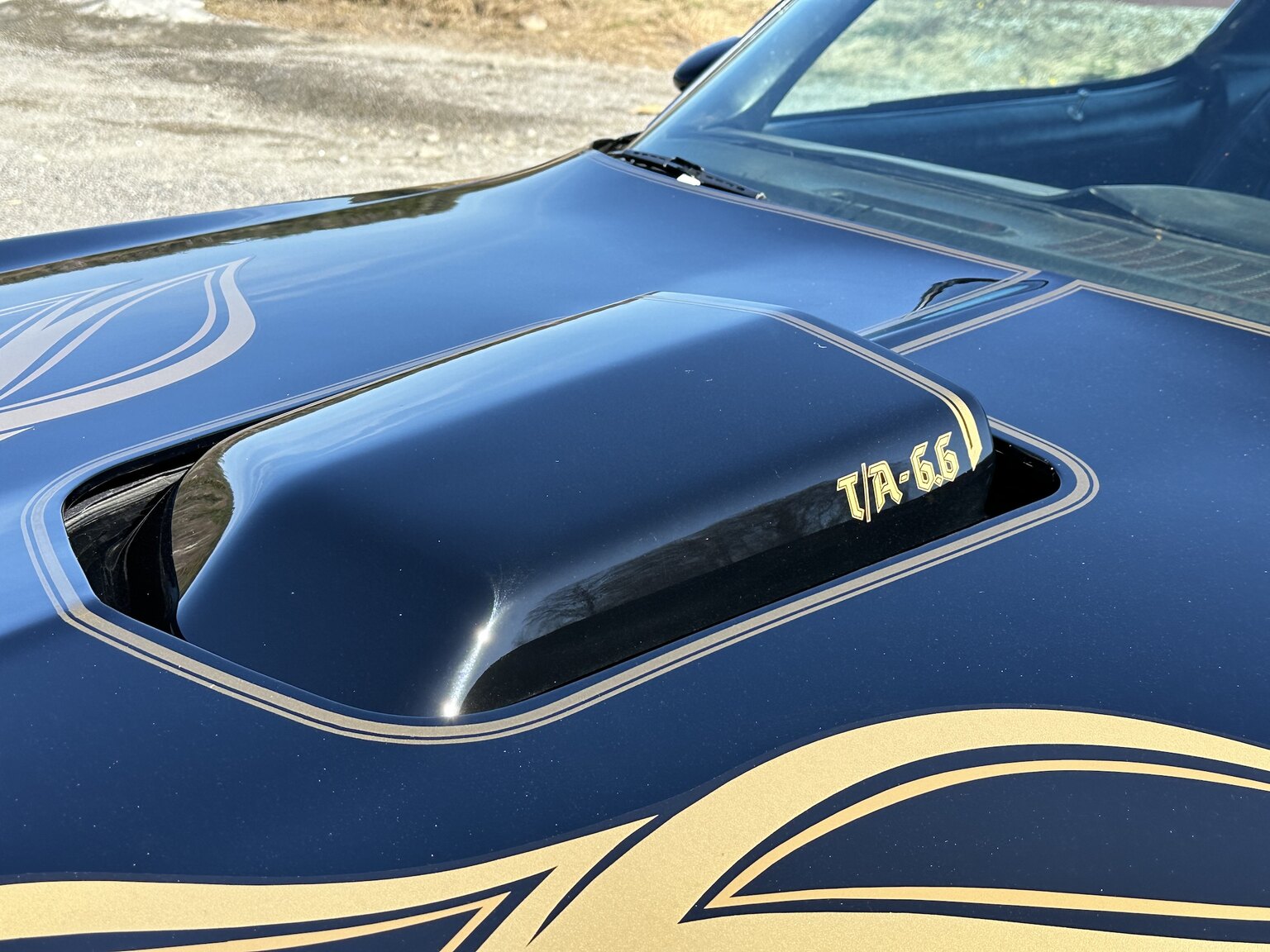 Exterior image of 1978 Pontiac Trans Am Bandit 400