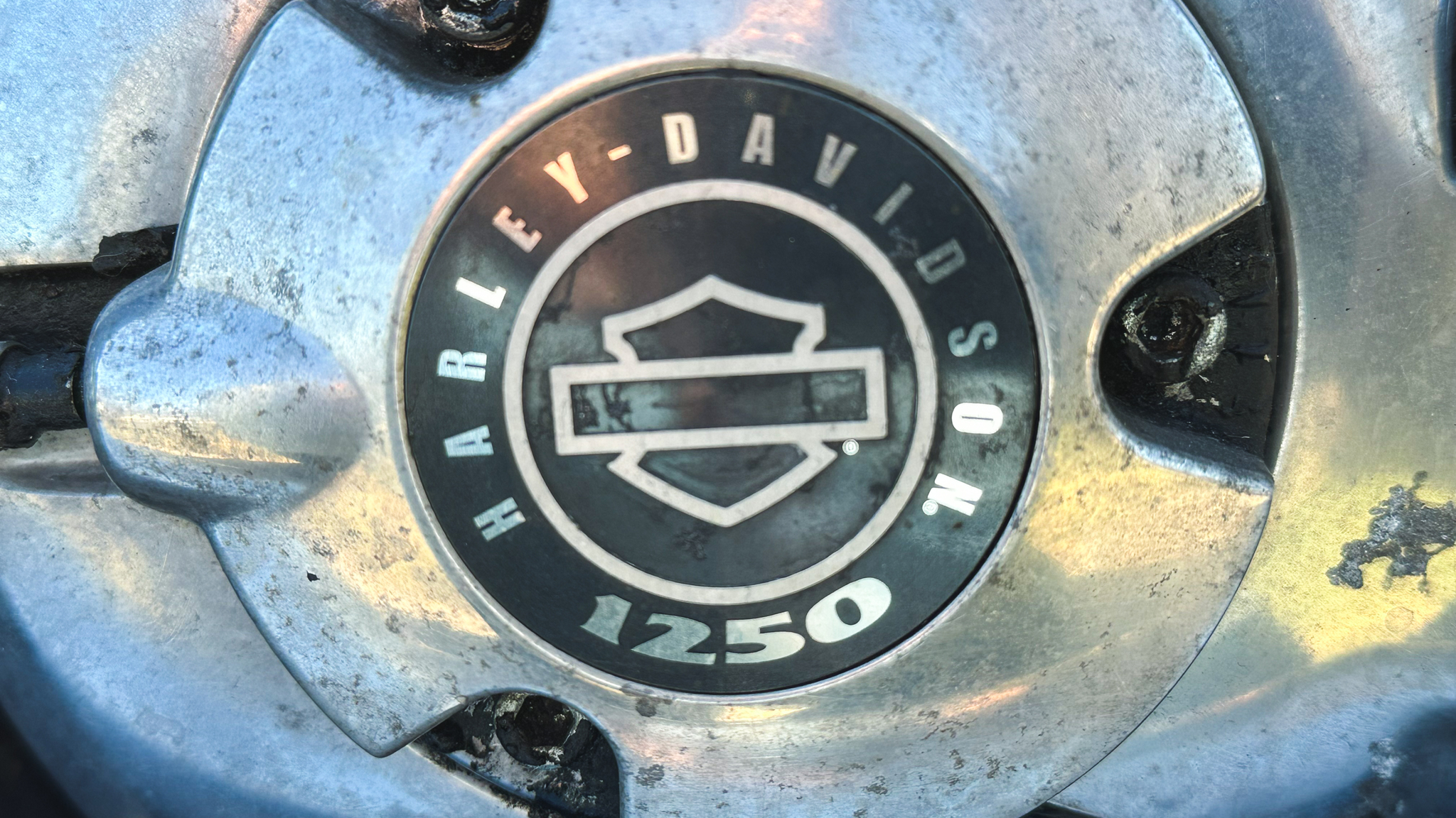 Exterior image of 2010 Harley Davidson Muscle Rod