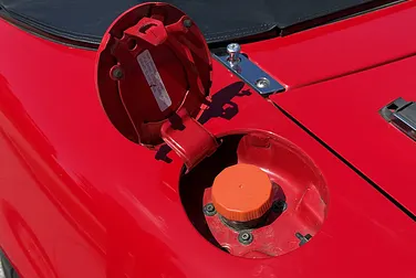 #<Image:0x00007f1175aa3d58>