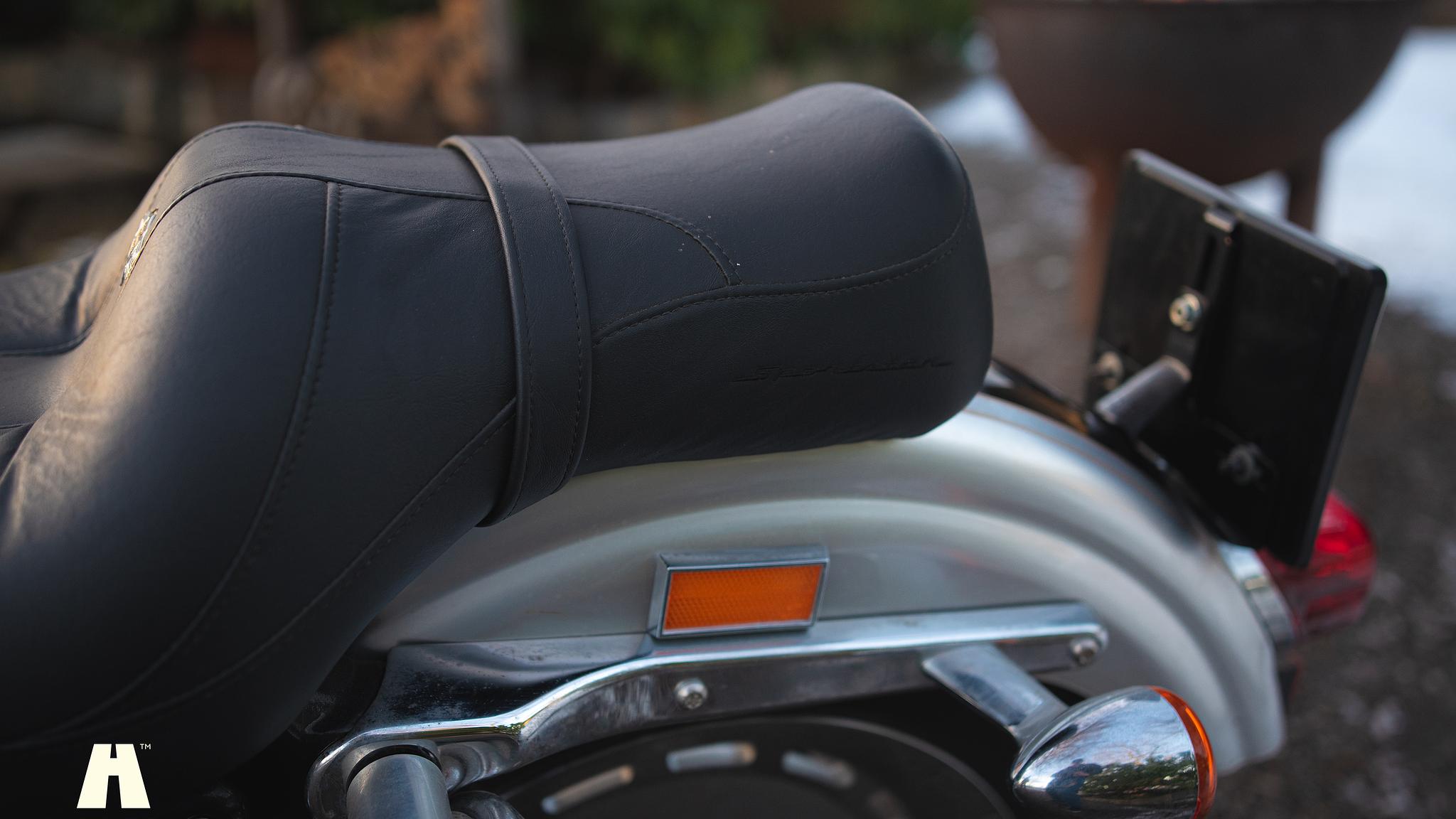 Exterior image of 2003 Harley Davidson Sportster 1200C 100th Anniversary Edition