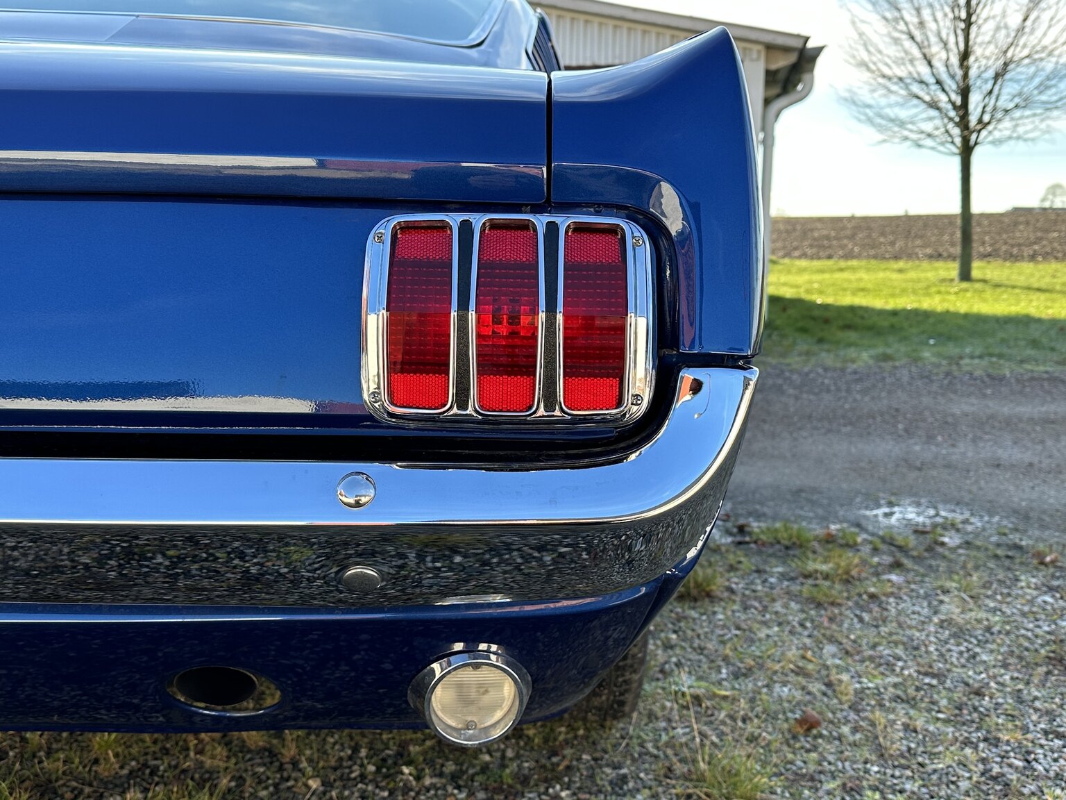Aussenfoto 1965 Ford Mustang Fastback 351W (33)