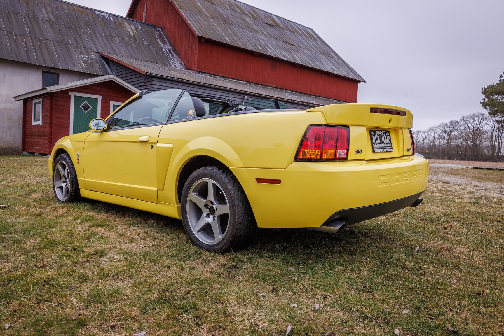 Exteriörbild på 2003 Ford Mustang SVT Cobra