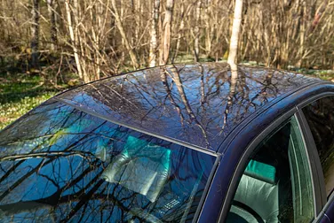 #<Image:0x00007fe42bfaa660>