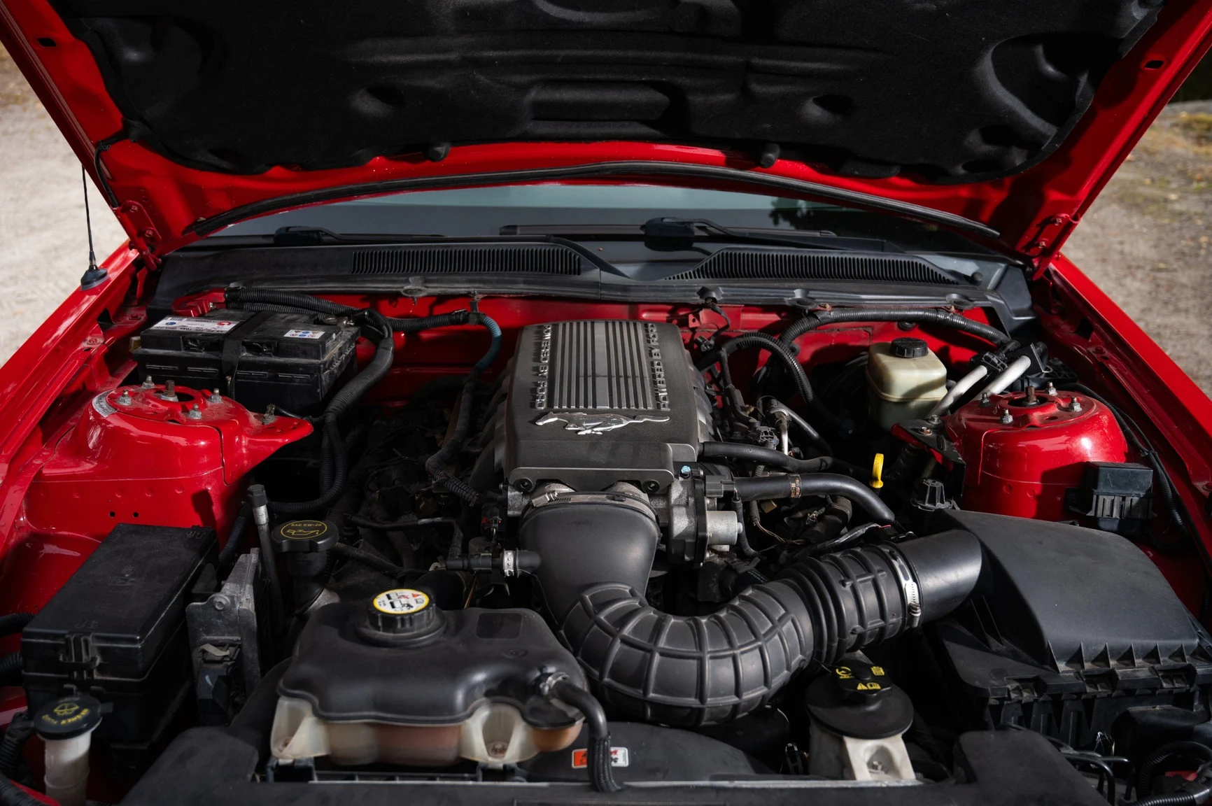 Image of 2005 Ford Mustang GT Roush Stage 2 (1) mechanics