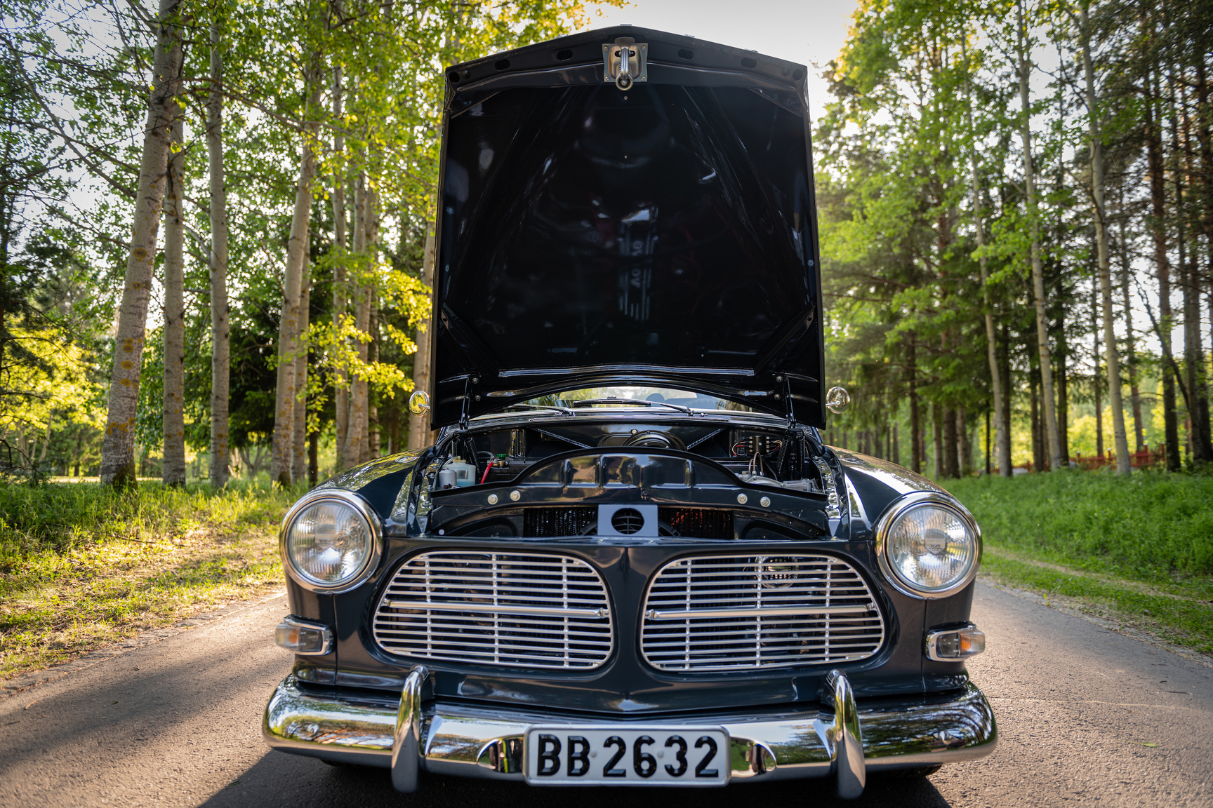 1965 Volvo Amazon Custom, Mekanik