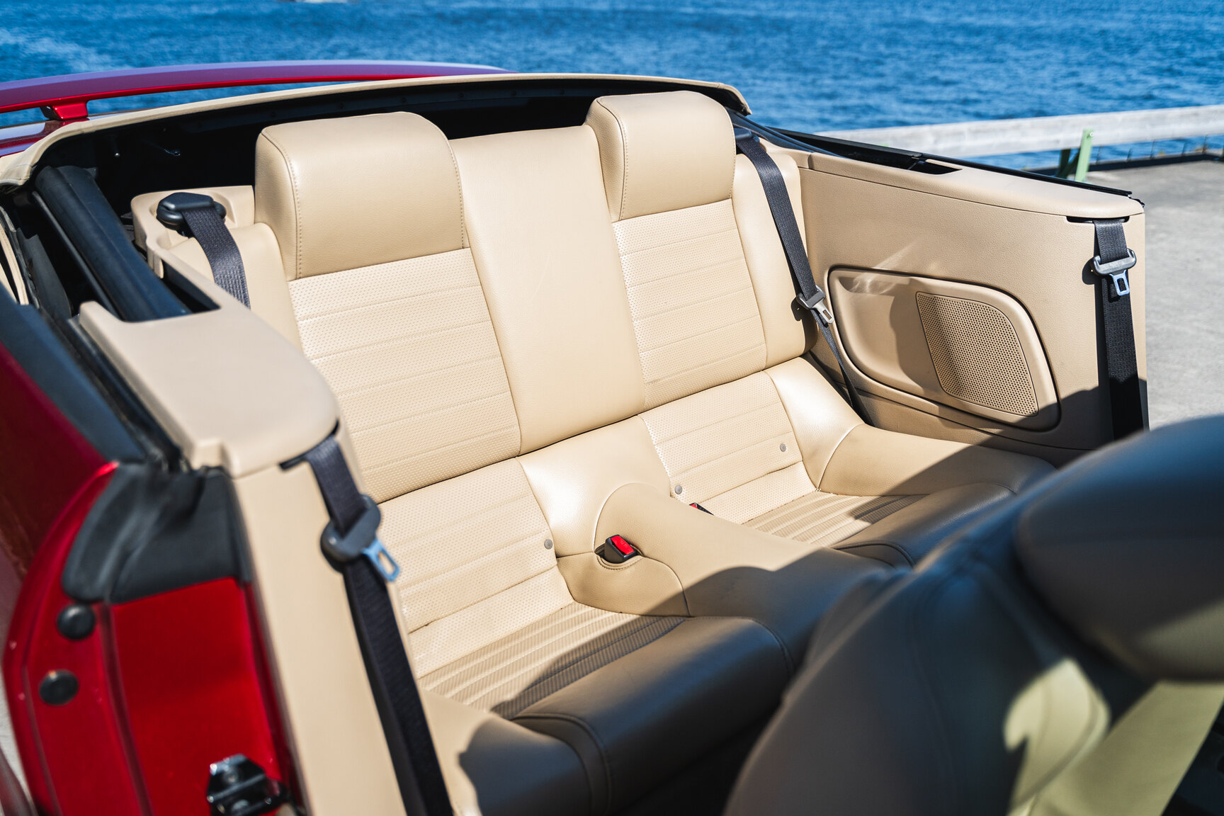 Interior image of 2005 Ford Mustang GT Cabriolet