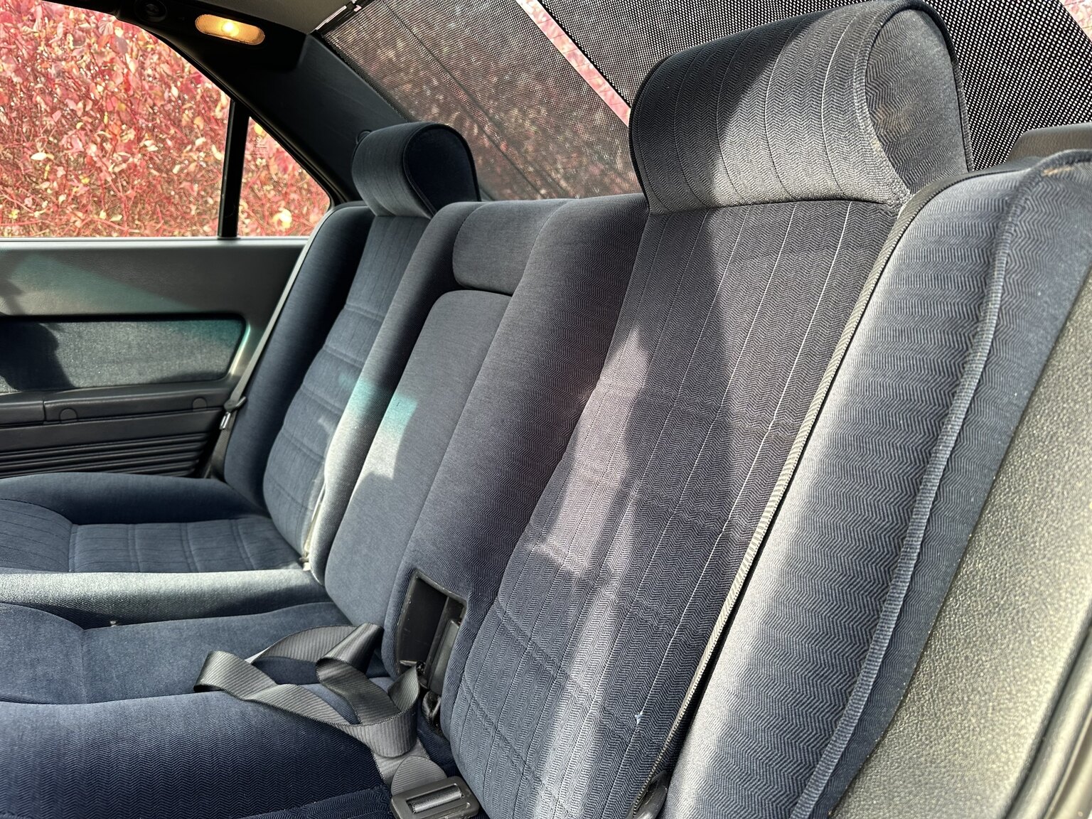Interior image of 1994 Alfa Romeo 164