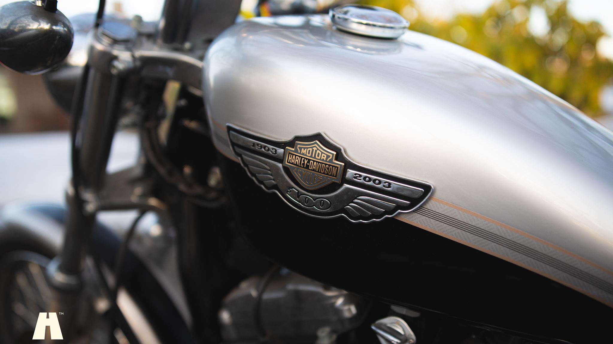 Exterior image of 2003 Harley Davidson Sportster 1200C 100th Anniversary Edition