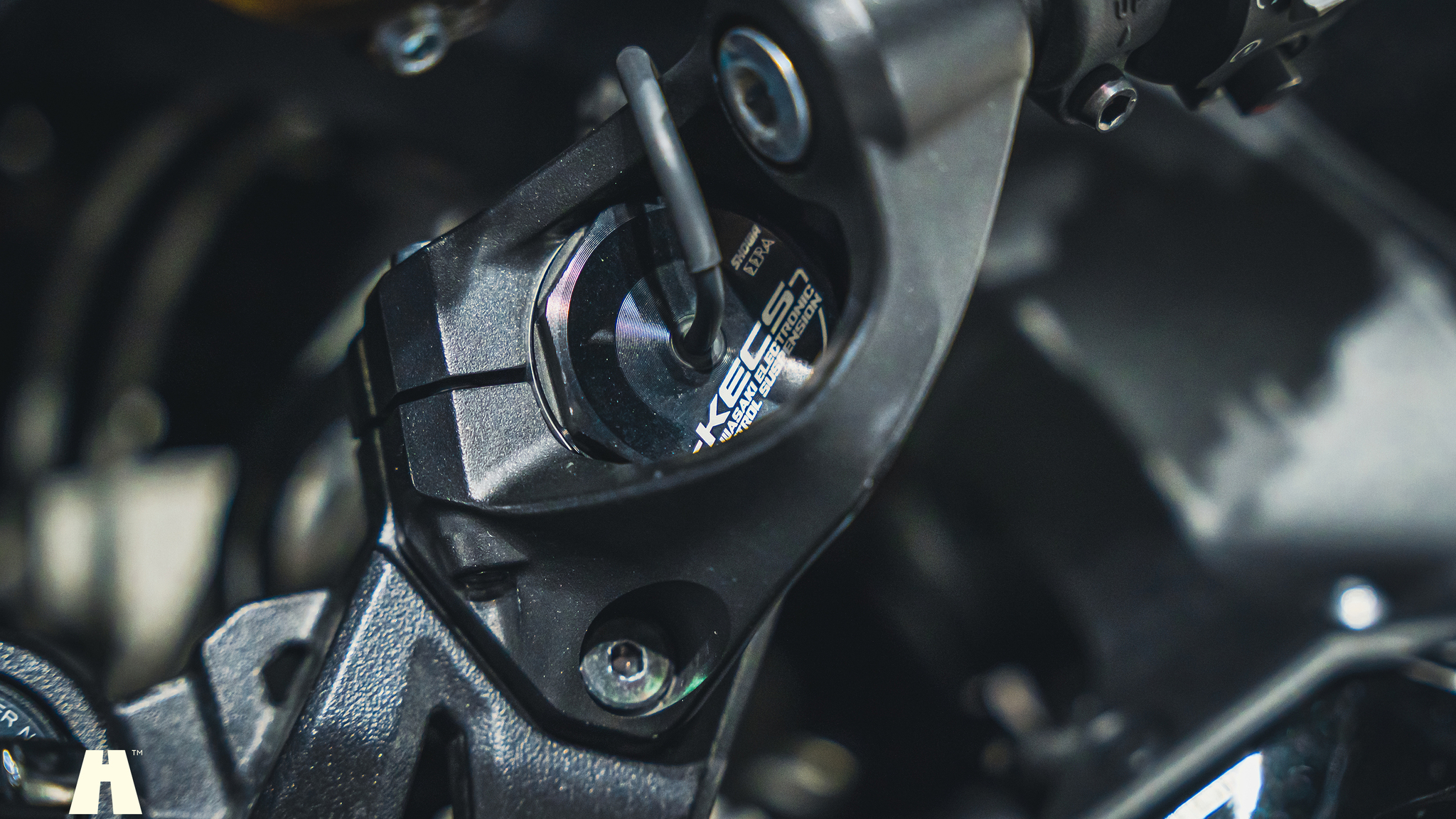 Exteriörbild på 2019 Kawasaki Ninja H2 SX