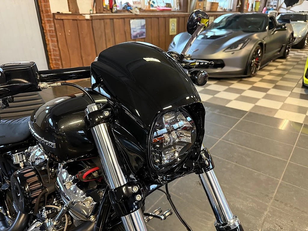 Bild von 2018 Harley-Davidson BREAKOUT 114 (10)