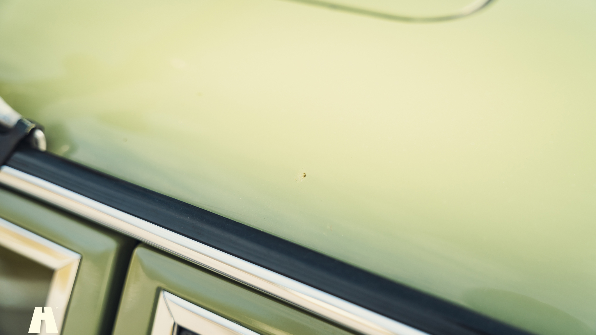 Aussenfoto 1979 Mercedes Benz 230