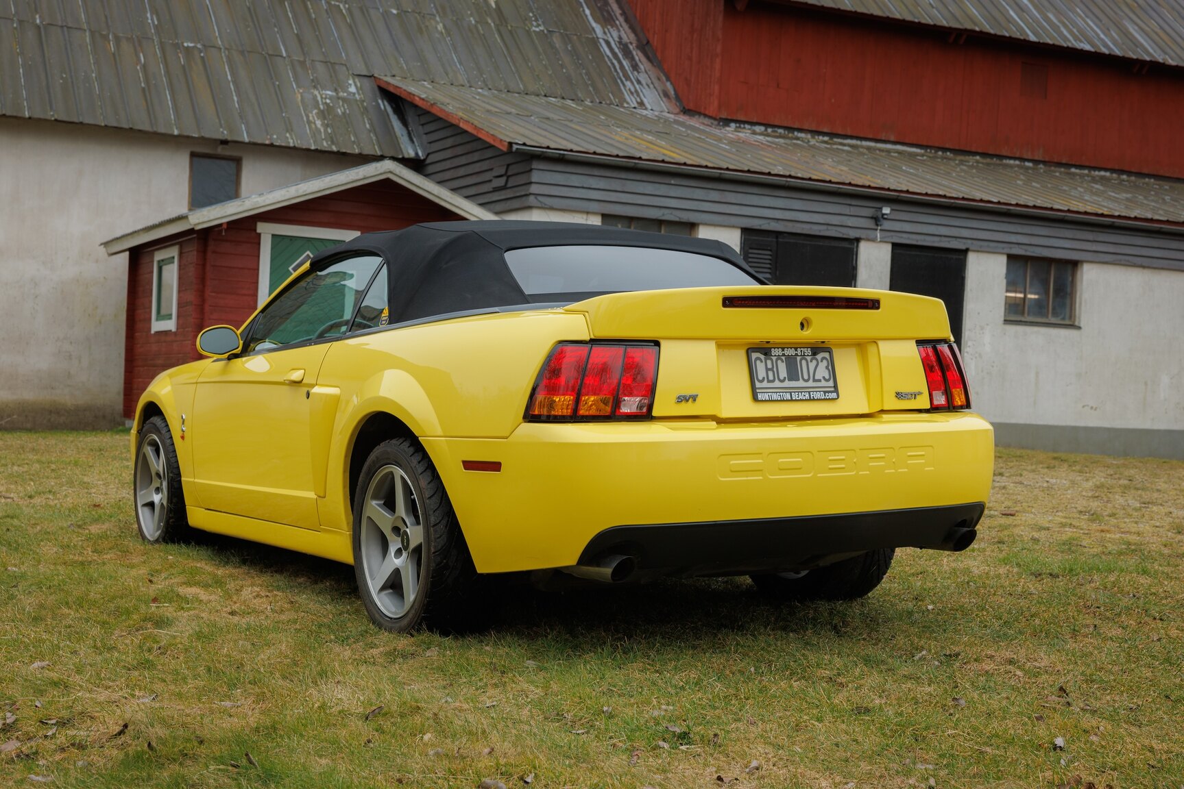Exterior image of 2003 Ford Mustang SVT Cobra