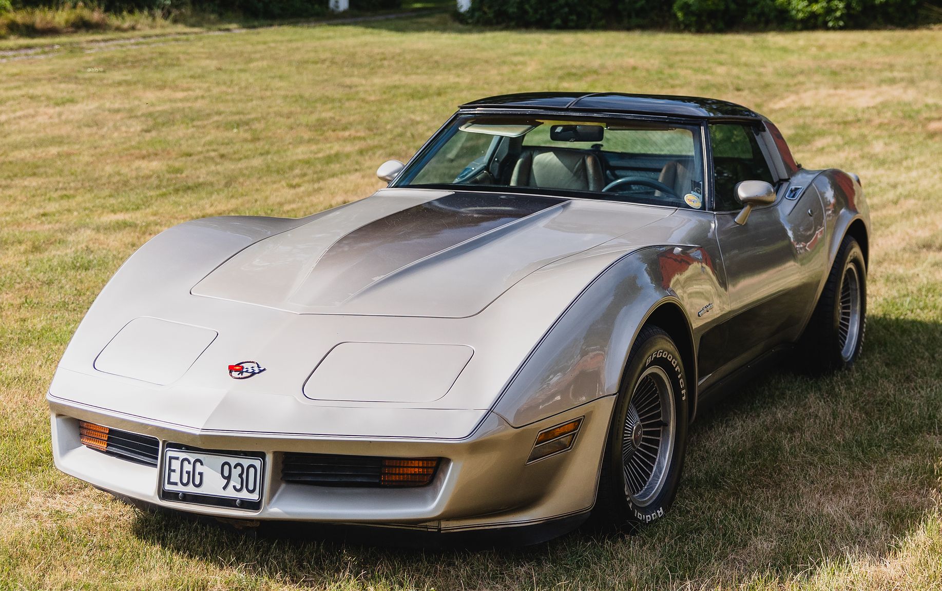 Exterior image of 1982 Chevrolet Corvette Collector Edition