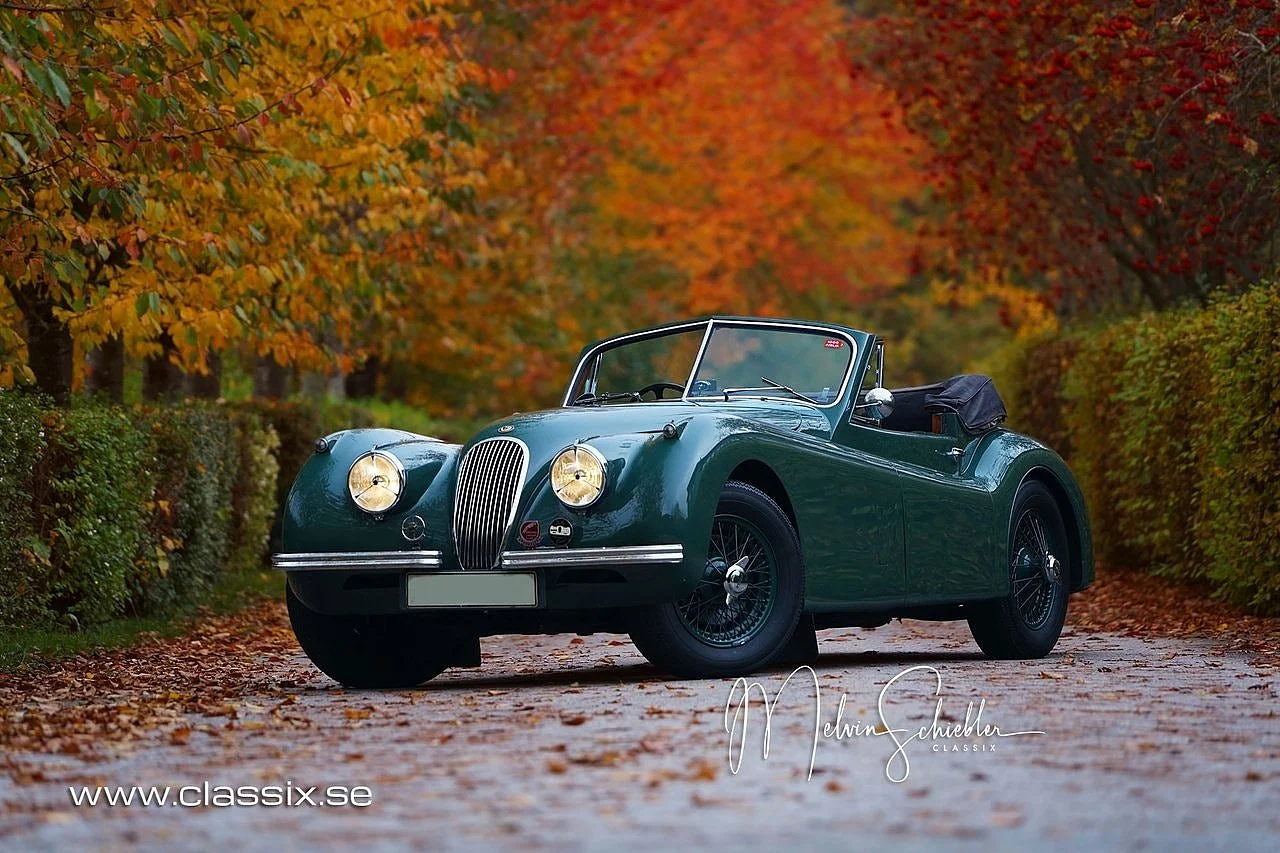 Bild von 1954 Jaguar XK120 (6)