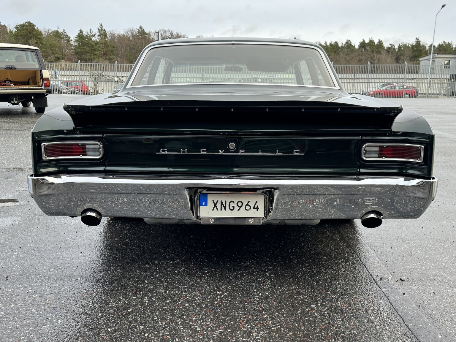 Aussenfoto 1966 Chevrolet Chevelle Pro-touring