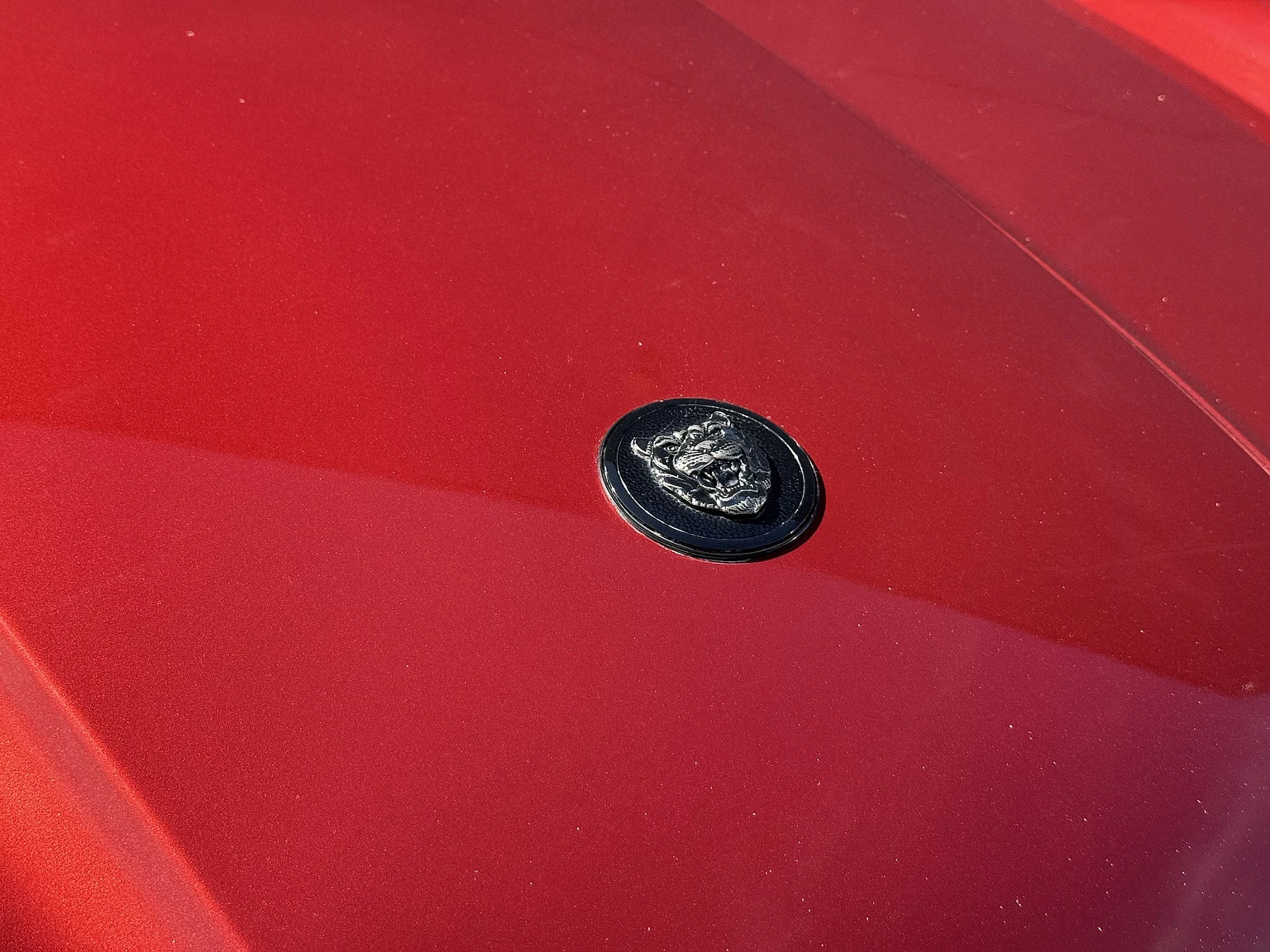 Exterior image of 1993 Jaguar XjS Cabriolet (31)