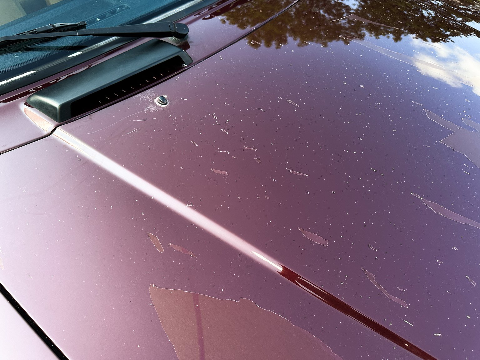 Exteriörbild på 1993 Volvo 245 GL Classic "No Reserve Auction"