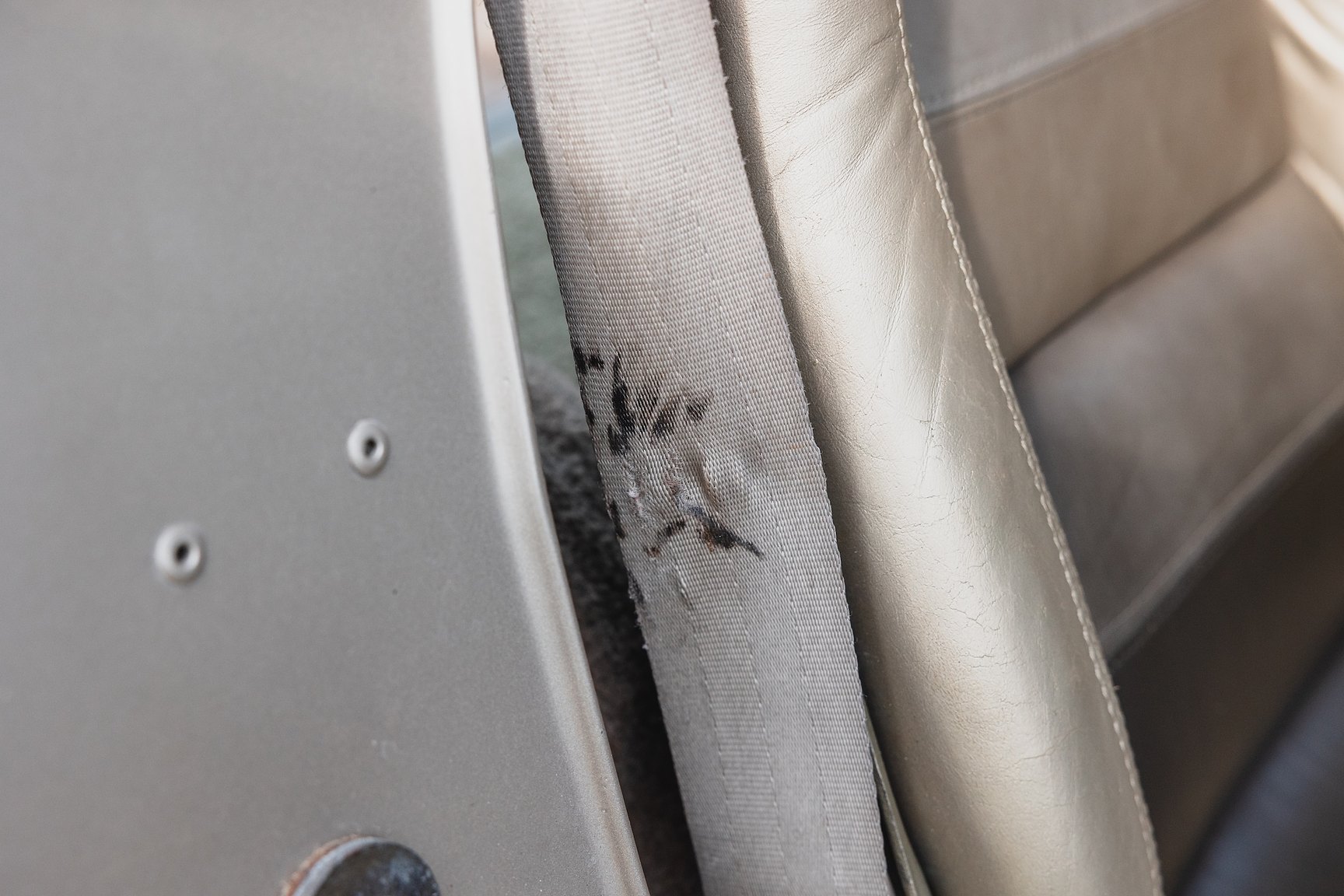Interior image of 1982 Chevrolet Corvette Collector Edition