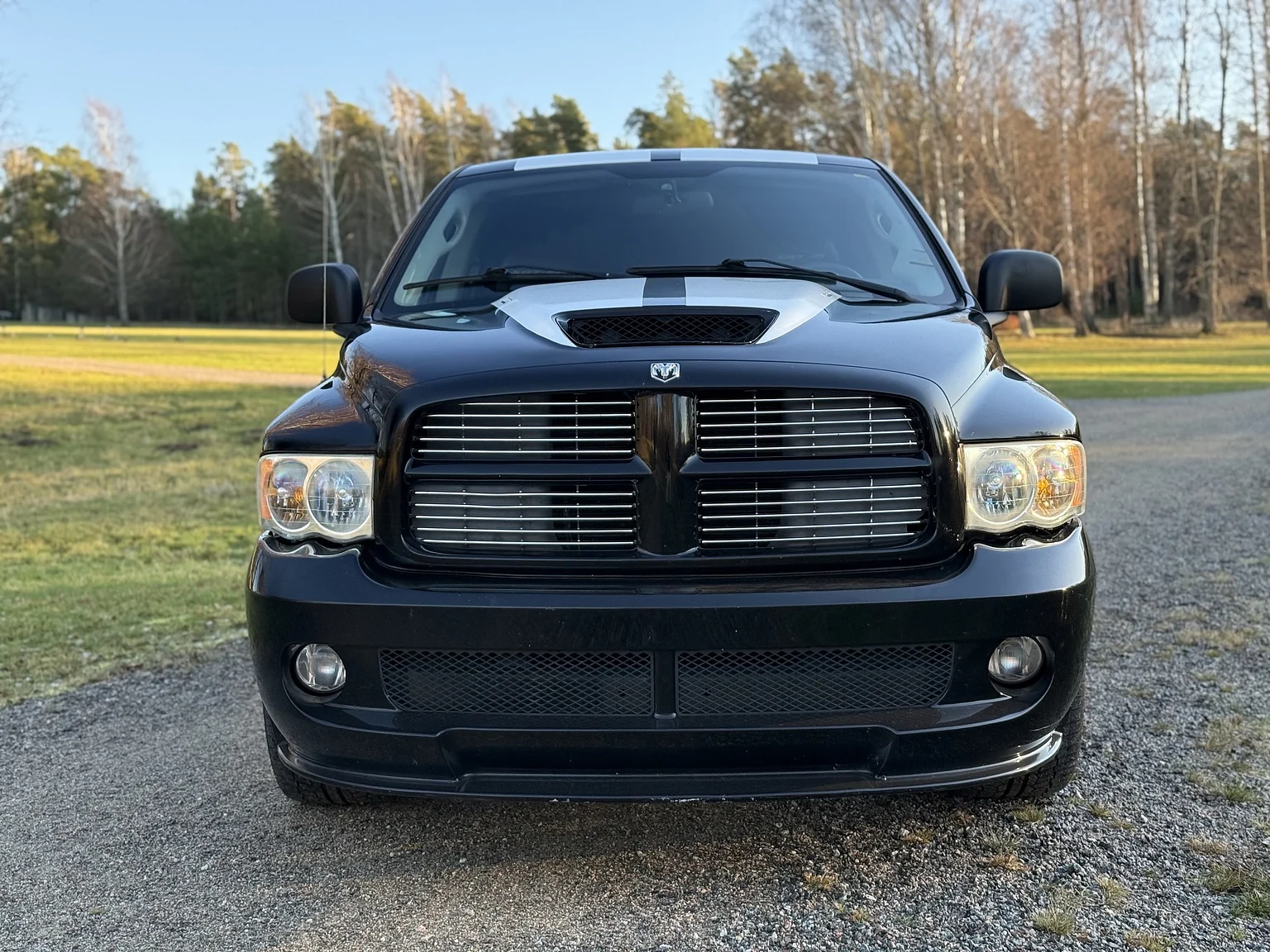 Exteriörbild på 2004 Dodge Ram SRT-10 (4)