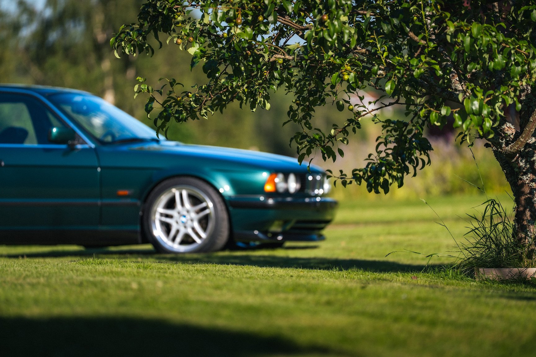 Exterior image of 1993 BMW 525 tds "No Reserve Auction"