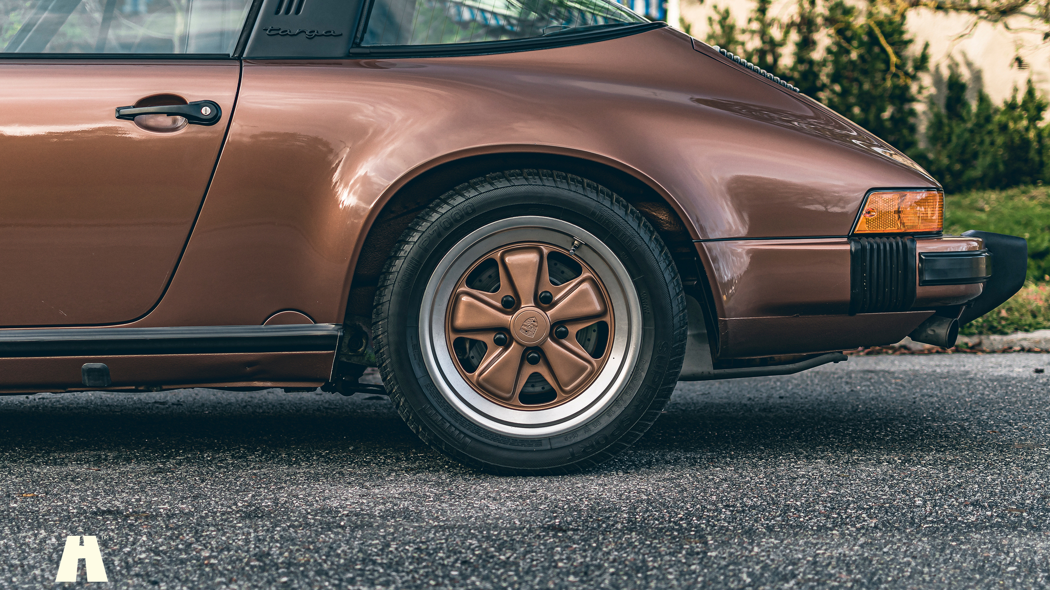 Aussenfoto 1989 Porsche 911 Carrera 3.2 Targa (52)