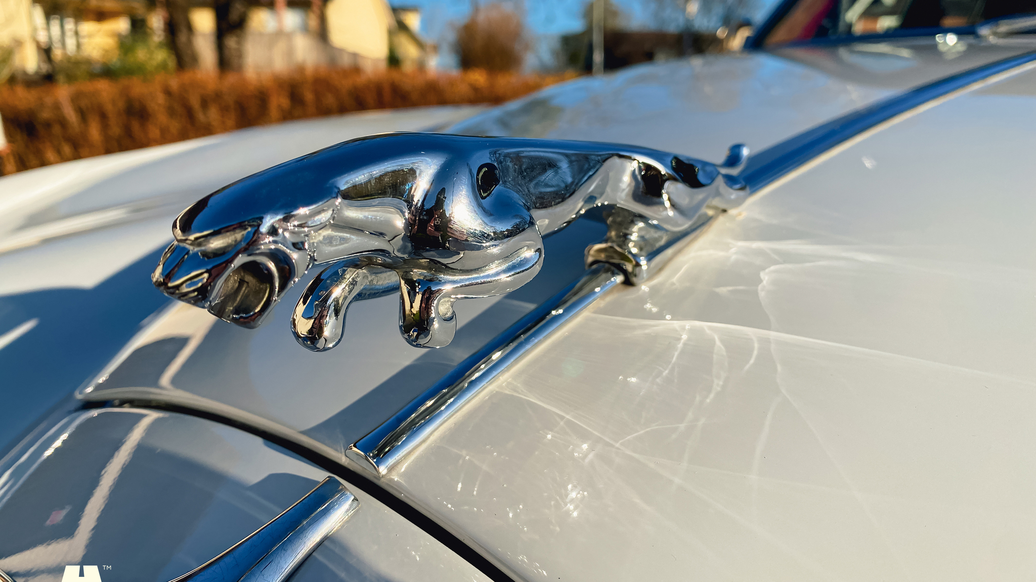 Aussenfoto 1961 Jaguar Mark 2