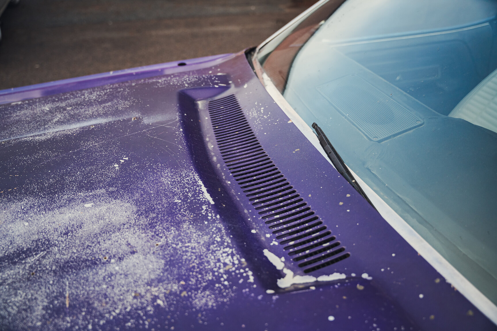 Exteriörbild på 1970 Dodge Challenger - Ett sista race