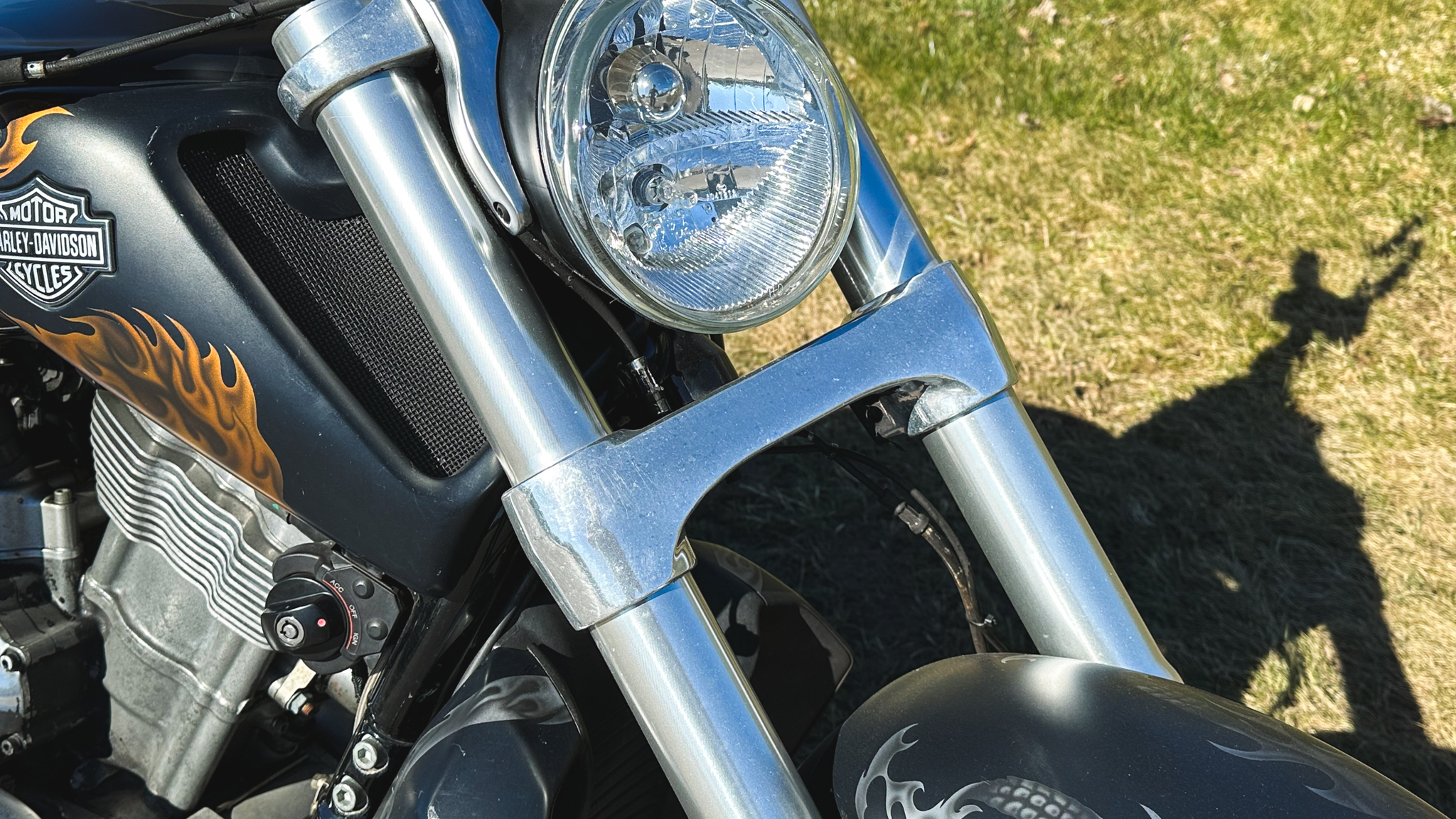Exterior image of 2010 Harley Davidson Muscle Rod