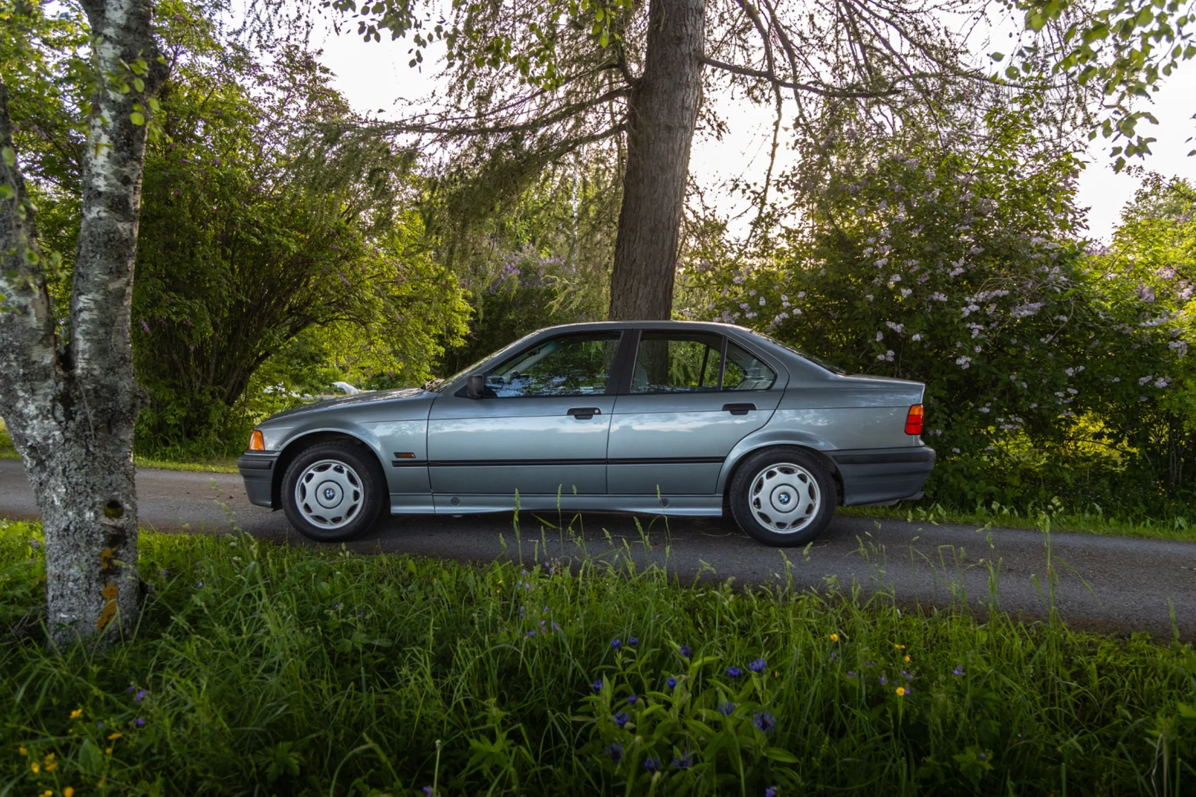 Aussenfoto 1994 BMW 318i - NO RESERVE (3)
