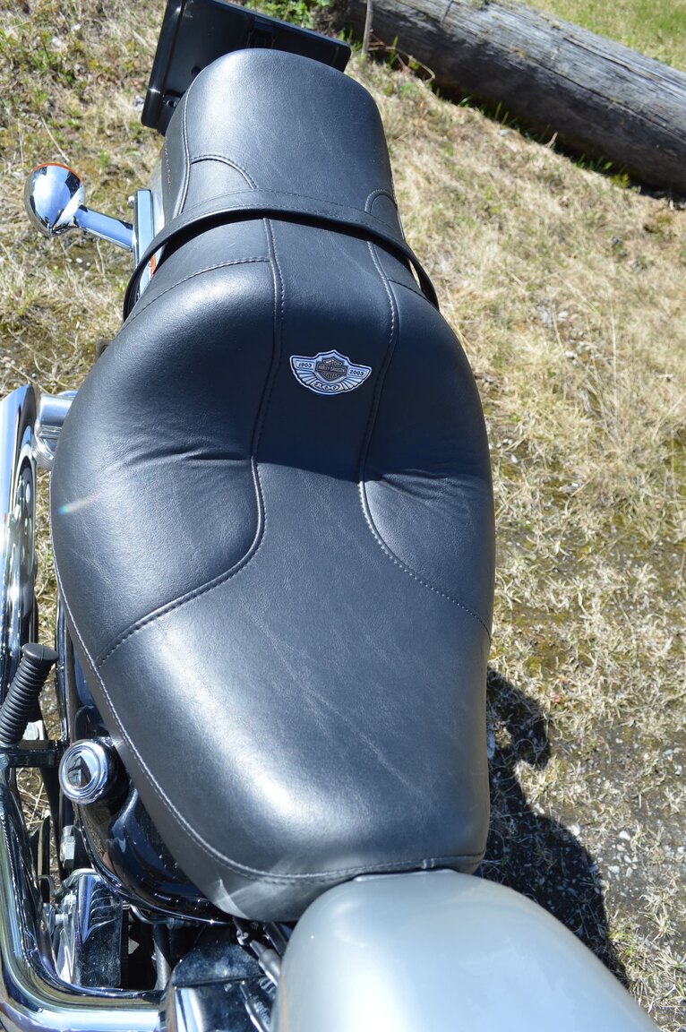 Exteriörbild på 2003 Harley-Davidson XL1200C 100 anniversary