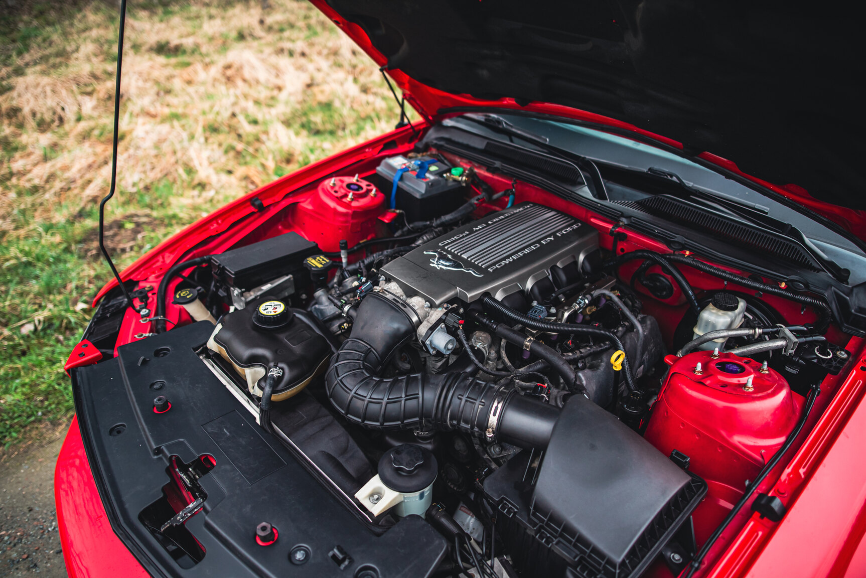 Image of 2009 Ford Mustang V8 GT Convertible mechanics