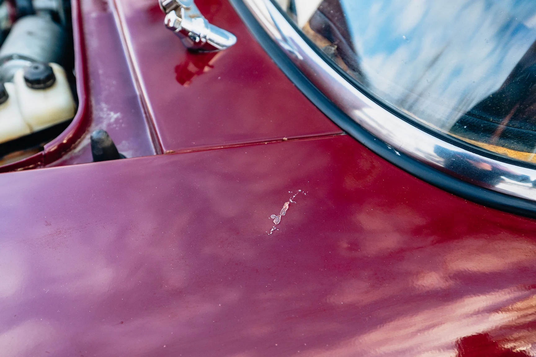 Exterior image of 1965 FIAT 1500 De Luxe (54)