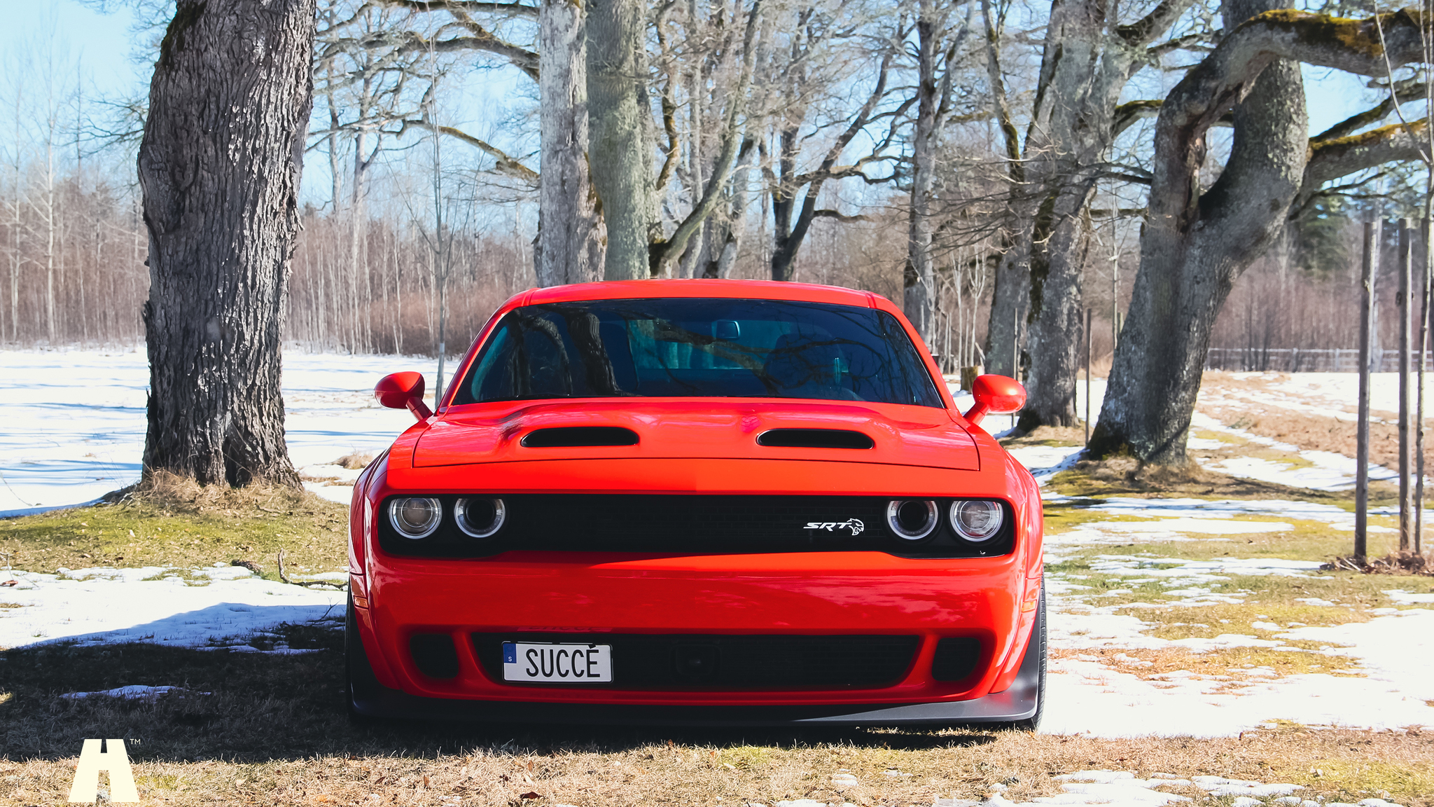 Aussenfoto 2019 Dodge Challenger Hellcat (18)
