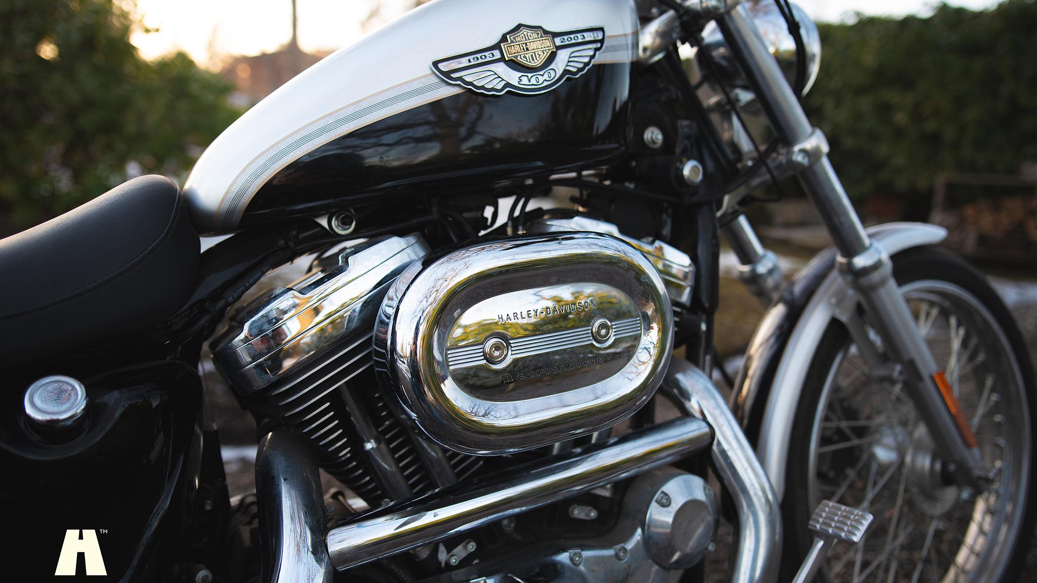 Exterior image of 2003 Harley Davidson Sportster 1200C 100th Anniversary Edition