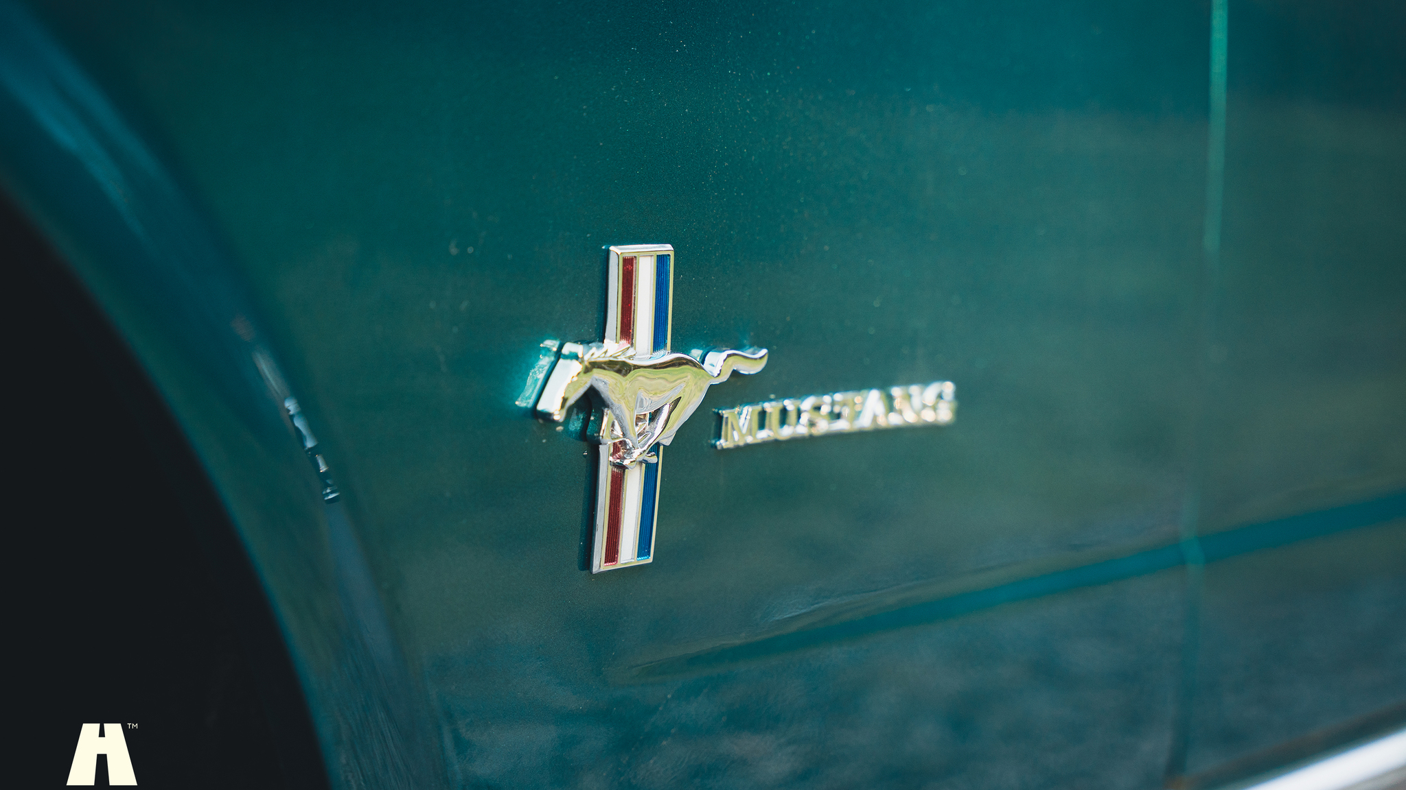 Aussenfoto 1965 Ford Mustang Cabriolet (35)