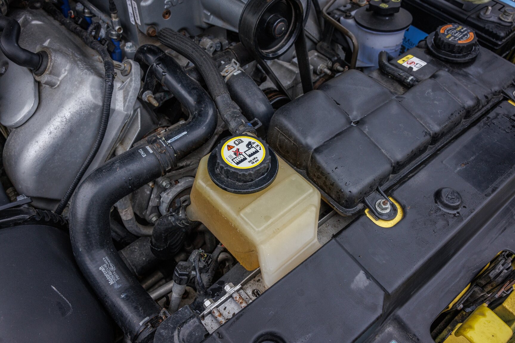 Image of 2003 Ford Mustang SVT Cobra mechanics