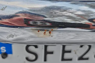 #<Image:0x00007f91fbcc1188>