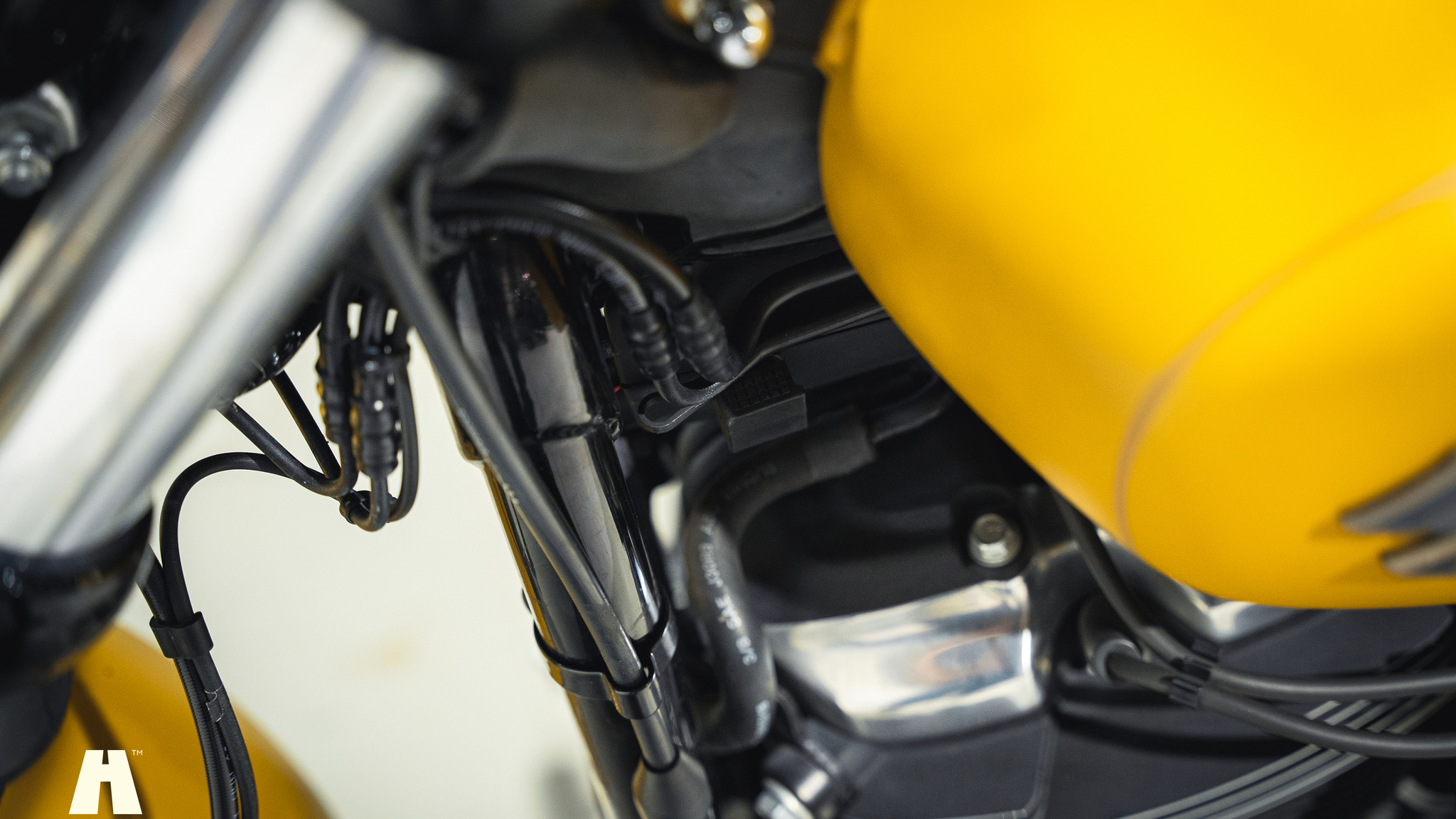Image of 2019 Harley-Davidson Street BOB mechanics