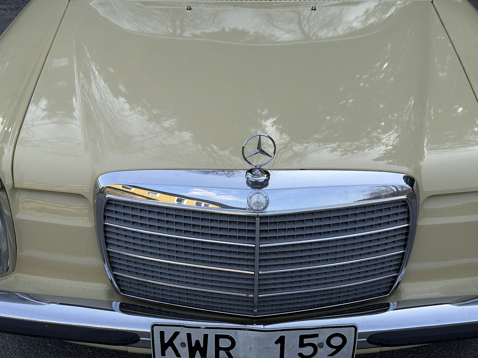 Exterior image of 1974 Mercedes-Benz 230 Automatic (13)