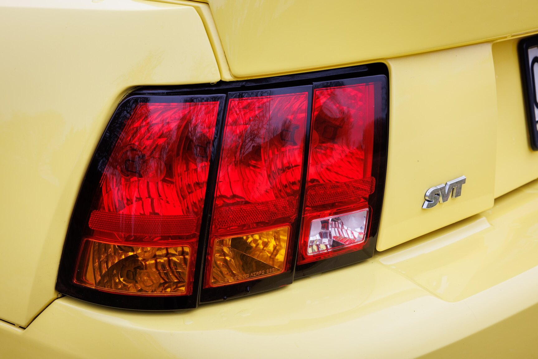 Exterior image of 2003 Ford Mustang SVT Cobra