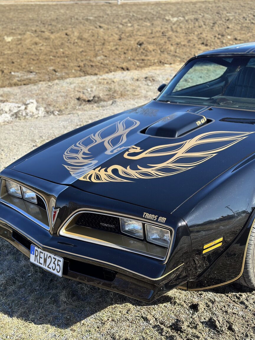Aussenfoto 1978 Pontiac Trans Am Bandit 400