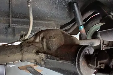 #<Image:0x00007f6677b00290>