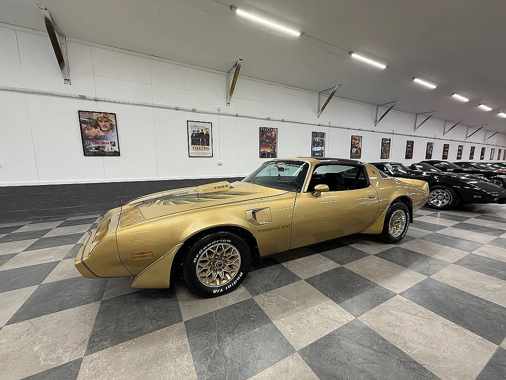 Bild von 1979 Pontiac Firebird (4)