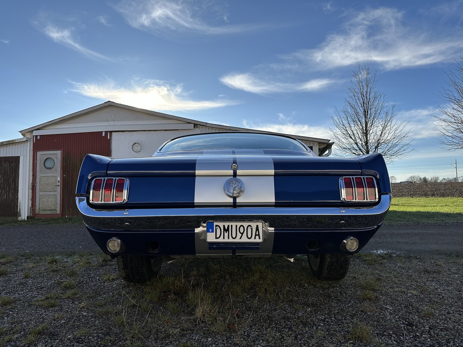 Aussenfoto 1965 Ford Mustang Fastback 351W (35)