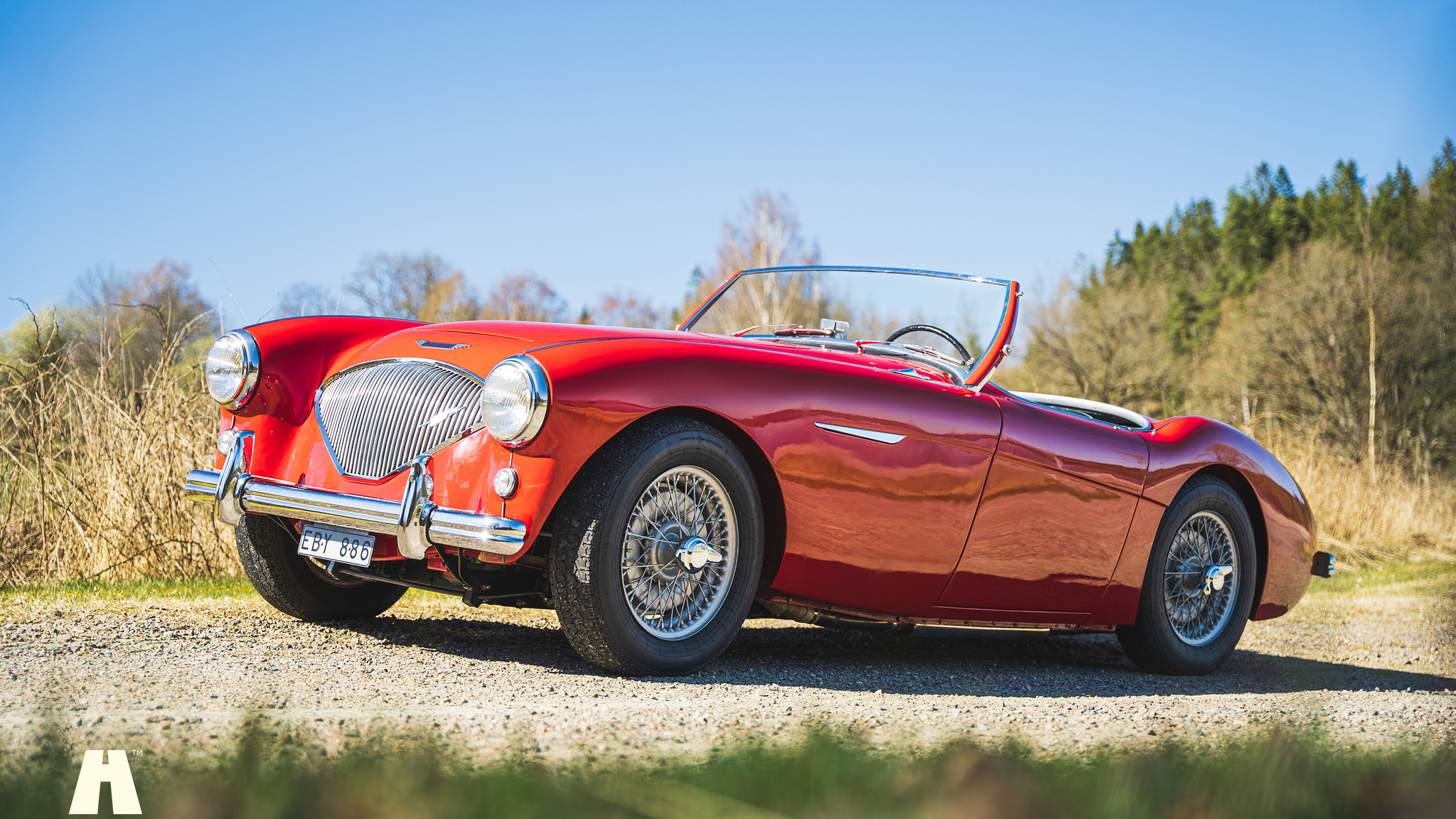 Aussenfoto 1954 Austin Healey 100 BN1 (5)